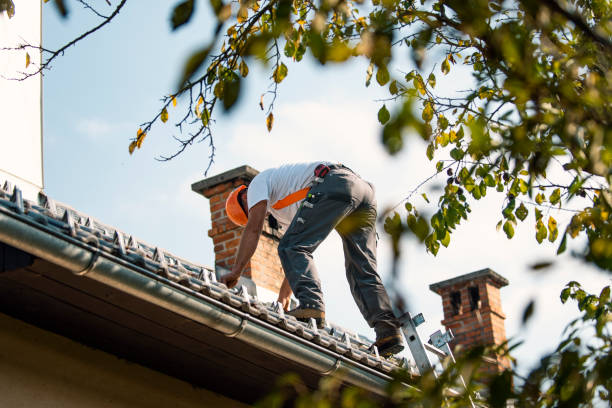 Best Metal Roofing Contractor  in Flossmoor, IL